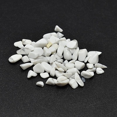 Howlite Chip Beads G-O103-20-1