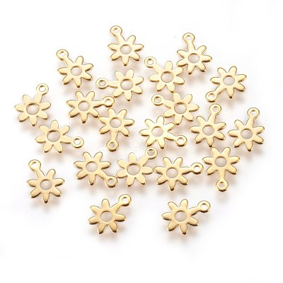 304 Stainless Steel Charms STAS-E447-16G-1