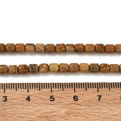 Natural Picture Jasper Beads Strands GG-CBAC70A-A04-1