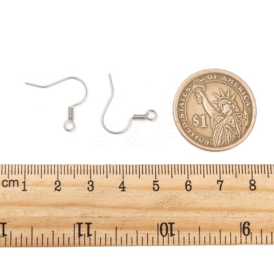 Tarnish Resistant 316 Surgical Stainless Steel Earring Hooks STAS-E009-2-1