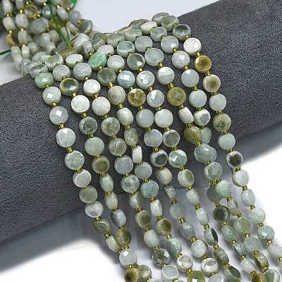Natural Myanmar Jade Jadeite Beads Strands G-K389-B02-01-1