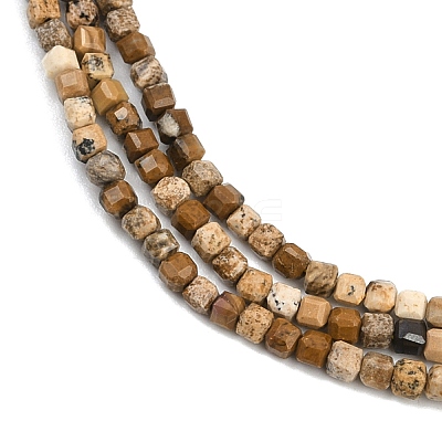 Natural Picture Jasper Beads Strands G-P457-B01-52-1