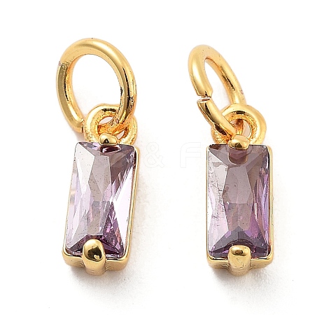 Brass Micro Pave Cubic Zirconia Charms ZIRC-F111-03G-12-1
