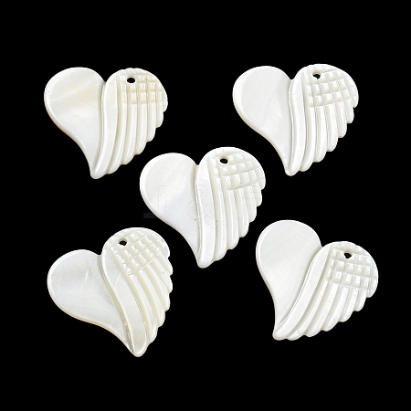 Natural Freshwater Shell Pendants BSHE-G034-18-1