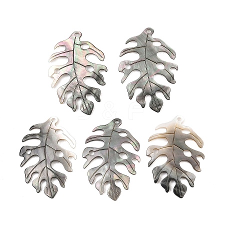 Natural Black Lip Shell Pendants SHEL-R100-07A-1-1