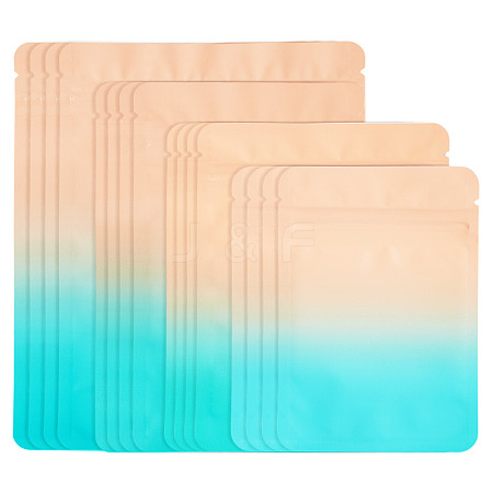 100Pcs 4 Styles PET Zipper Bags OPP-TA0001-19A-1