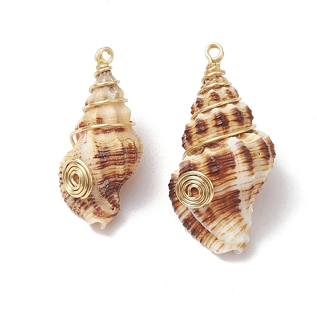 Natural Spiral Shell Pendants PALLOY-JF03316-01-1