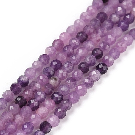 Natural Lepidolite/Purple Mica Stone Beads Strands G-C009-A06-1