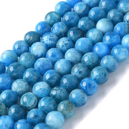Natural Apatite Beads Strands G-I254-08H-1