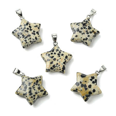 Natural Dalmatian Jasper Pendants GG-K002-10E-1