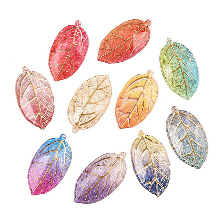 Printed Translucent Acrylic  Pendants OACR-T028-24-1