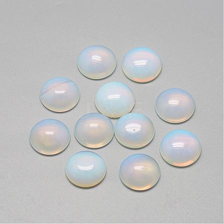 Opalite Cabochons G-R416-14mm-49-1