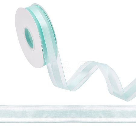 Polyester Organza Ribbons OCOR-HY0002-32A-1