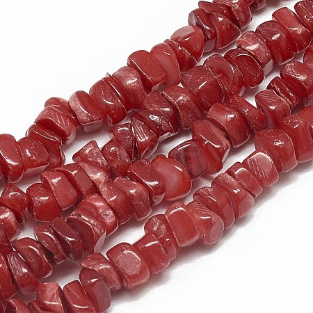 Freshwater Shell Beads Strands X-SHEL-S270-12-1