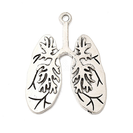 Tibetan Style Alloy Pendants PALLOY-F318-07AS-1