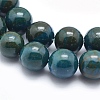 Dyed Natural Gemstone Beads Strands G-F556-10mm-3