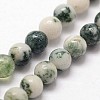 Natural Tree Agate Beads Strands X-G-N0192-01-3mm-3