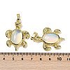 Opalite & Brass Pendants KK-F887-01G-03-3