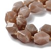 Natural Peach Moonstone Beads Strands G-C182-13-02-4