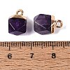 Natural Amethyst Pendants G-N359-18G-05-3
