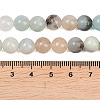 Natural Flower Amazonite Beads Strands G-F415-8mm-6