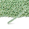 TOHO 6/0 Round Beads X-SEED-TR06-PF0560-2