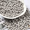 Baking Paint Glass Seed Beads SEED-B001-02A-04-1