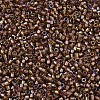 MIYUKI Delica Beads SEED-MY11-DB1759-3
