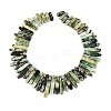 Natural Serpentine Beads Strands G-Q616-06D-2