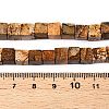 Natural Picture Jasper Beads Strands G-T139-6x6-27A-5