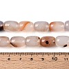 Natural Red Agate Beads Strands G-T144-44F-5
