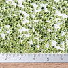 MIYUKI Round Rocailles Beads SEED-X0054-RR0350-4