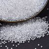 MIYUKI Delica Beads Small SEED-J020-DBS0050-1