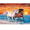 Horse Theme DIY Diamond Painting Kit DIAM-PW0014-06Q-1