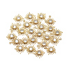 Brass Cubic Zirconia Charms KK-T032-017G-2