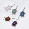 ARRICRAFT 5Pcs 5 Style Natural Gemstone Pendants G-AR0004-60-4