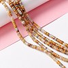 Natural Crazy Lace Agate Beads Strands G-A201-A05-4