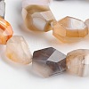 Nuggets Natural Botswana Agate Beads Strands G-D770-09-2