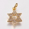 Brass Micro Pave Cubic Zirconia Charms ZIRC-E145-56G-1