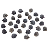 30Pcs 2 Colors Synthetic Resin Hedgehog Miniature Ornaments DJEW-GA0001-68-1
