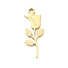 304 Stainless Steel Pendants SA-CBA2714-03A-G-1