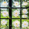 Daisy Rainbow Prism Electrostatic Window Stickers PW-WGD6411-01-3