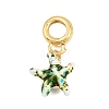 Brass Resin European Dangle Charms KK-CBA3642-01G-06-1