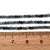 Natural Sapphire Beads Strands G-F803-A01-01B-5