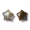 Natural Labradorite Charms G-H241-04C-2