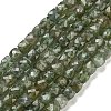 Natural Green Apatit Beads Strands G-H042-A12-02C-1