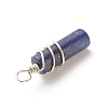 Natural Lapis Lazuli Pendants PALLOY-JF01570-04-4