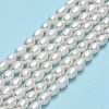Natural Cultured Freshwater Pearl Beads Strands PEAR-J006-07F-2