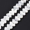 Natural Trochus Shell Beads Strands SSHEL-H070-05-3