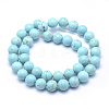 Natural Magnesite Beads Strands TURQ-G148-07-10mm-2